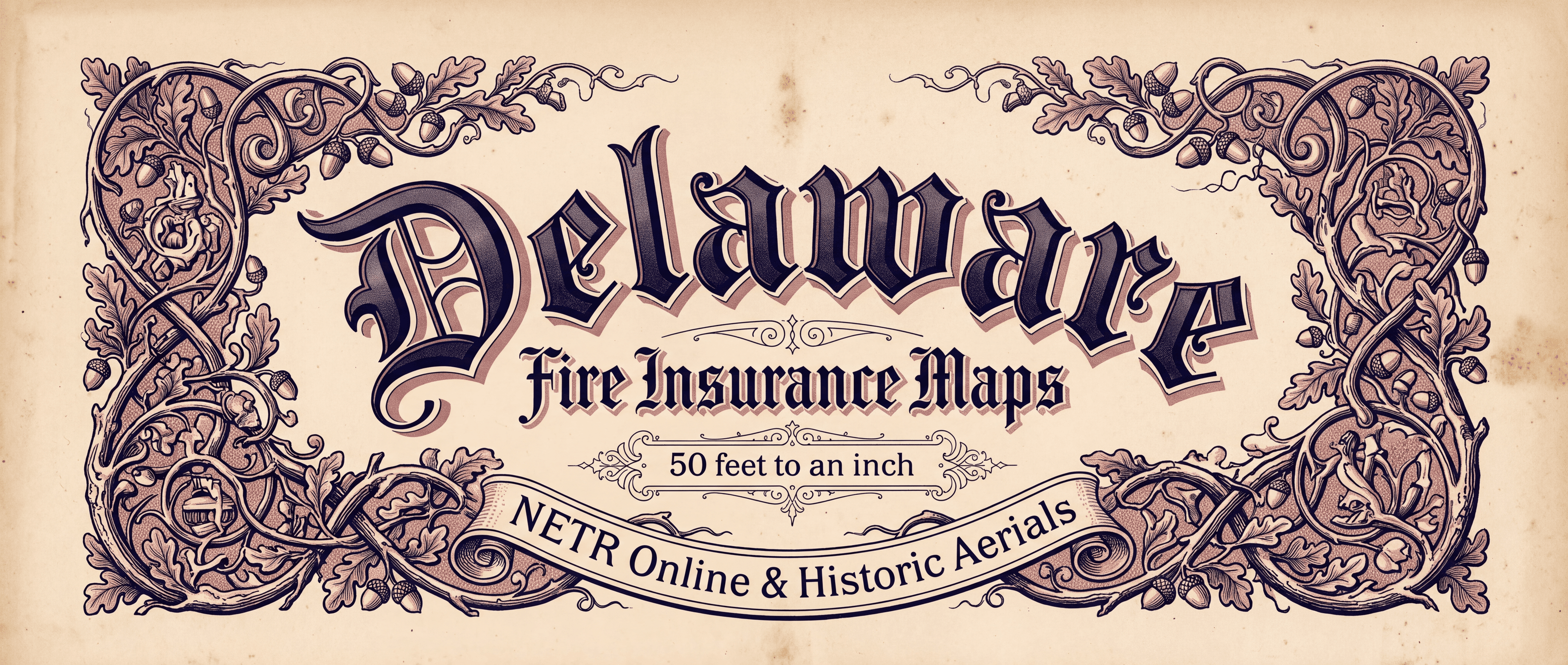Delaware Fire Insurance Maps